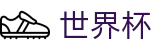 2026世界杯购彩专区-点燃足球梦想